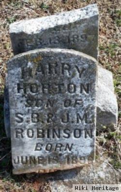 Harry Horton Robinson