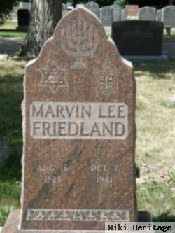 Marvin Lee Friedland