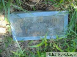 Mary Caroline "sis" Berry Nesmith