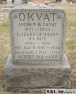 Andrew B Okvat