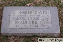 Homer David Bradford