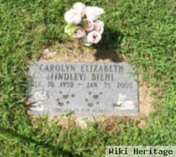 Carolyn Elizabeth Findley Biehl