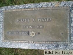 Scott A Hayes