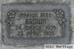 Marion Reed Brown