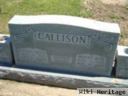 Sgt Robert Lee "bob" Callison