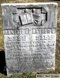 Annette E Burnett