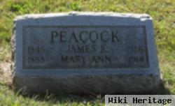 James K. Peacock