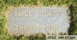 Alice Dickey