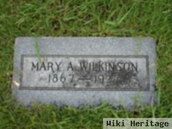 Mary A. Wilkinson