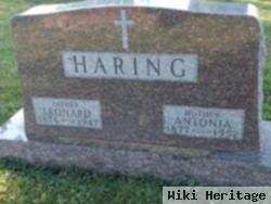 Antonia Panzi Haring