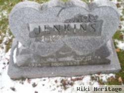 Louis A. Jenkins