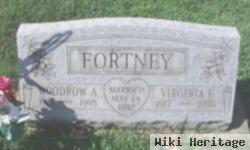 Virginia Frances Eddy Fortney