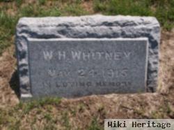 William H Whitney