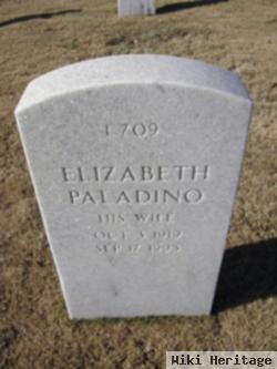 Elizabeth Paladino Medvesky