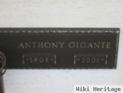 Anthony Gigante