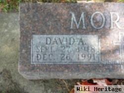 David A Morton