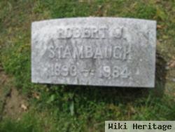 Robert J Stambaugh