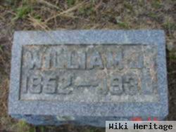 William J Altenburg