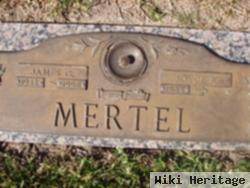 James G Mertel