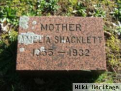 Amelia Shacklett