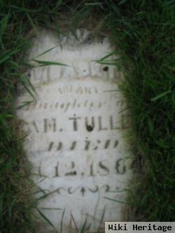 Elizabeth N Tuller