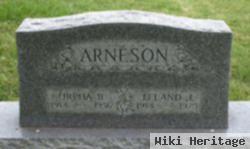 Leland J Arneson