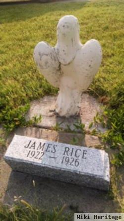 James Rice