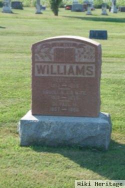 Louisa N Williams