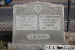 Samuel Levin