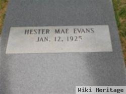 Hester Mae Evans