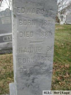 Nancy Belle "nannie" Steinmetz