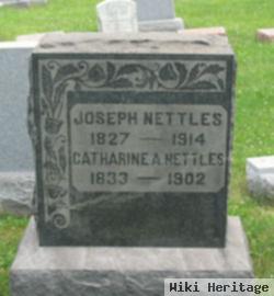 Catharine A. Nettles