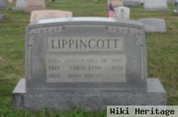 Carol Lynn Lippincott