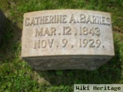 Catherine A. Huber Henshue Barnes