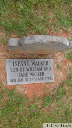 Infant Walker