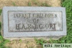 Infant Children Of H A & J G Ort