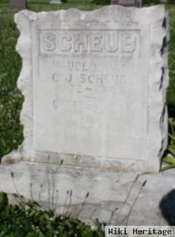 Infant Scheub