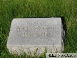 Mary Elizabeth Johnston Todd