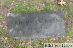 Katherine Joy Mauck Hayes