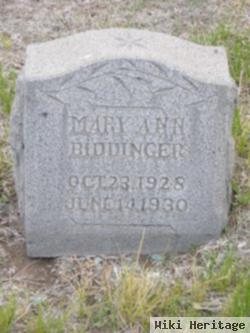 Mary Ann Biddinger