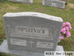 Joseph P. Opsatnick