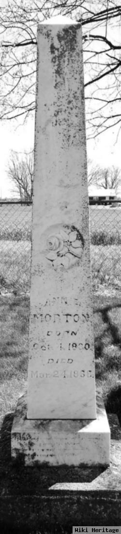 Ann E. Morton