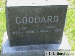 Lee Goddard