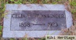 Celia D Steinwinder