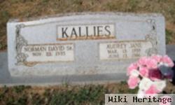 Norman David Kallies, Sr