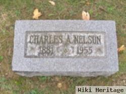 Charles Alva Nelson