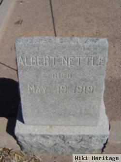 Albert Nettle