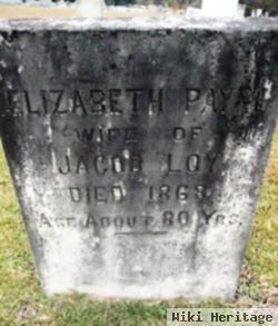 Mary Elizabeth Payne Loy