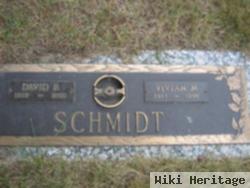 David P Schmidt