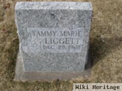 Tammy Marie Liggett